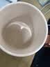 乐扣乐扣迷你养生壶烧水杯养生杯花茶壶热奶电煮杯电炖杯电热水杯烧水壶陶瓷覆层内胆0.35L 实拍图