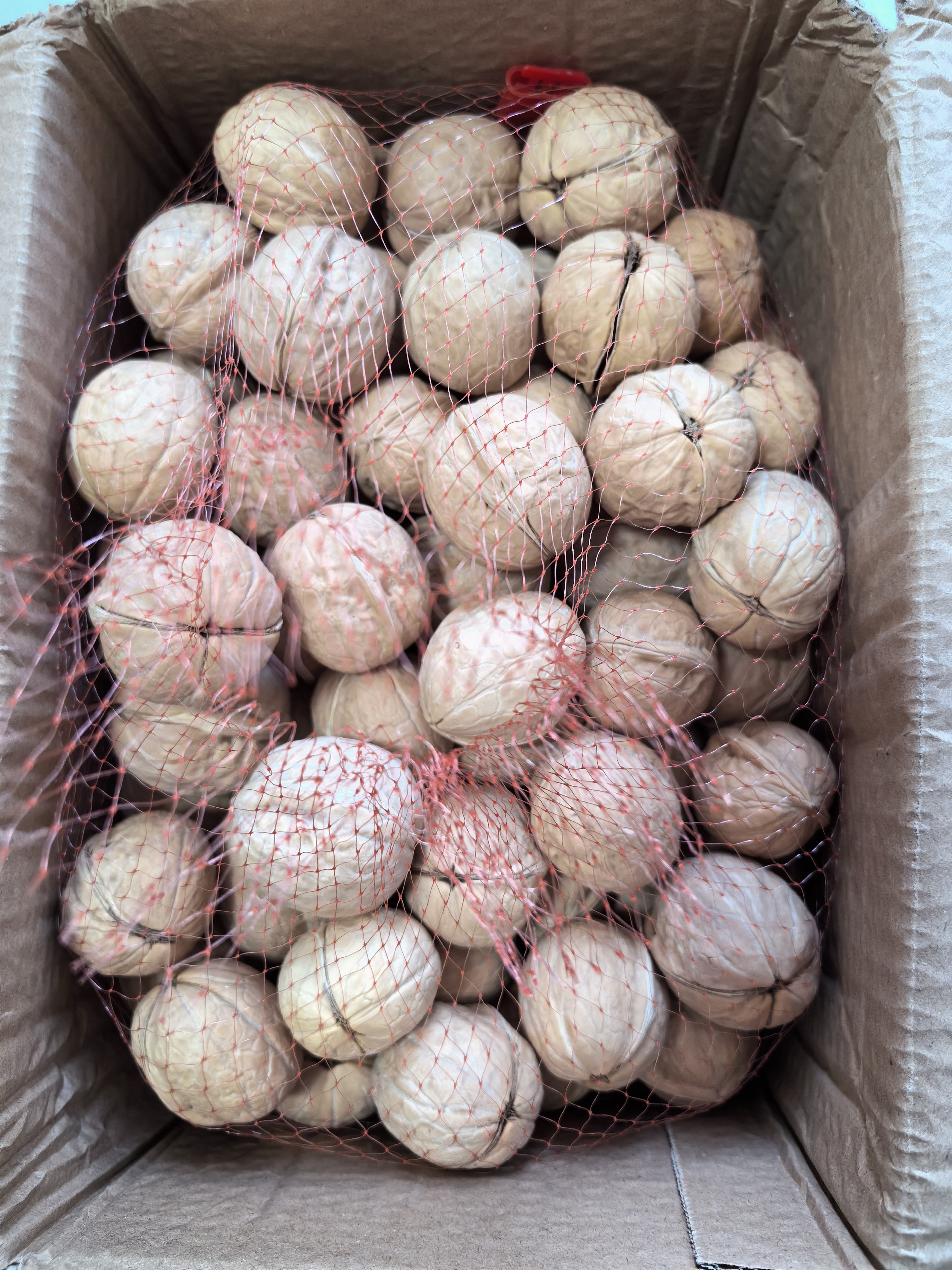 新货新疆185纸皮生核桃5斤新鲜原味坚果孕妇零食核桃纸皮薄皮核桃 【当季新果-3斤手剥即开】新疆185纸皮核桃 严选品-正宗新疆阿克苏老树185纸皮核桃 实拍图