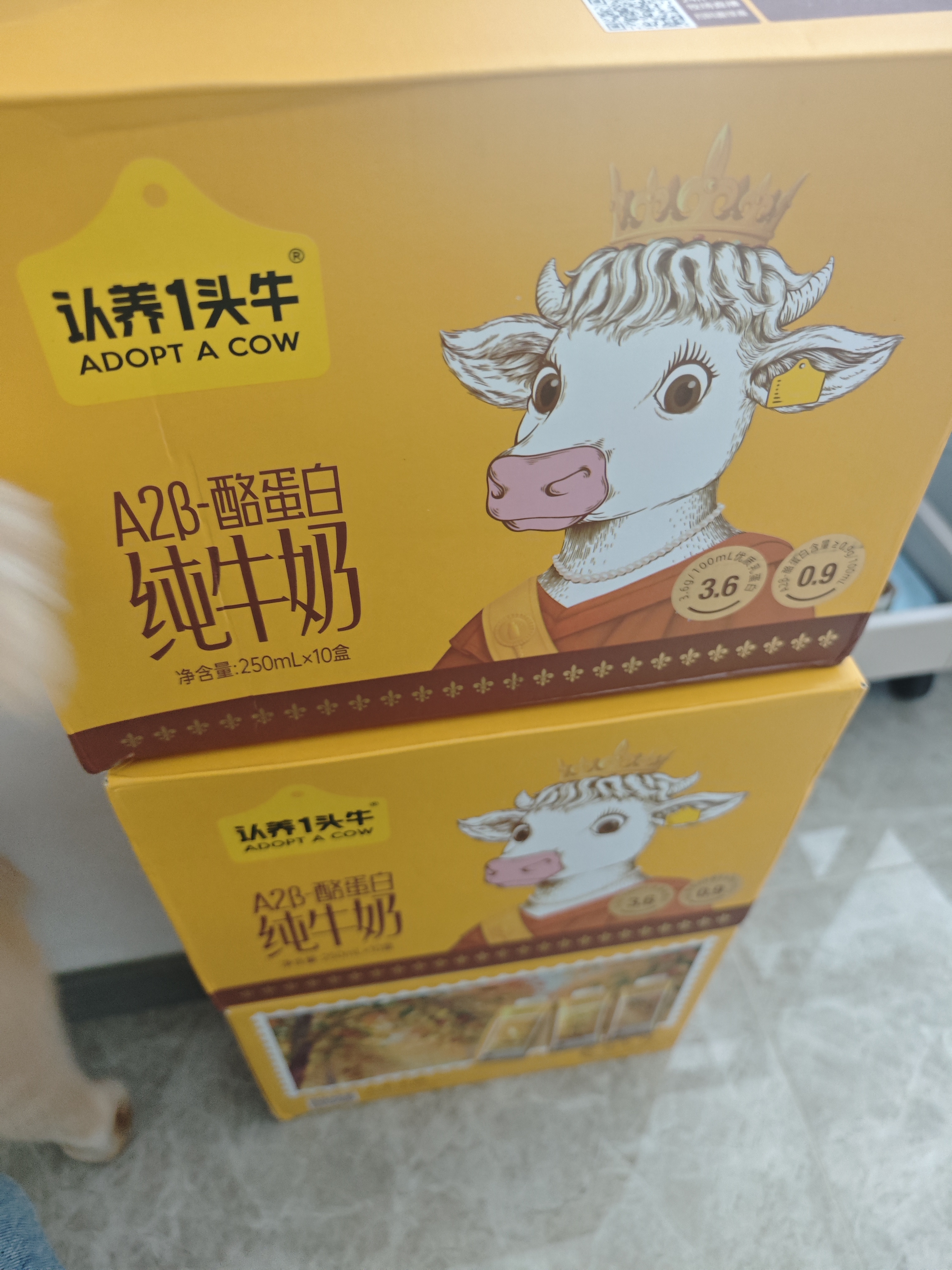 认养一头牛丰收瓶 | A2β-酪蛋白纯牛奶250ml*10盒 3.6g蛋白质 中秋礼品礼盒 实拍图