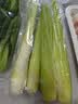 上海青约500g(油菜) 实拍图