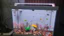 阔庭（KUOTING）鱼缸水族箱客厅桌面生态造景家用带灯制氧过滤鱼缸黑色【大号】 实拍图