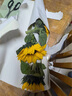 花点时间（Reflower）玫瑰花康乃馨水仙百合鲜花云南昆明源头基地直发茉莉鲜切花束插花 【单头50cm玫瑰】荔枝粉色10枝 实拍图
