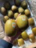 佳沛（zespri）新西兰金奇异果22粒巨大原箱146-175g猕猴桃中秋节礼品送水果礼盒 实拍图
