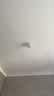 雷士（NVC）led大功率灯泡飞碟节能E27螺口球泡灯家用单灯大瓦数20W白光6500K 实拍图