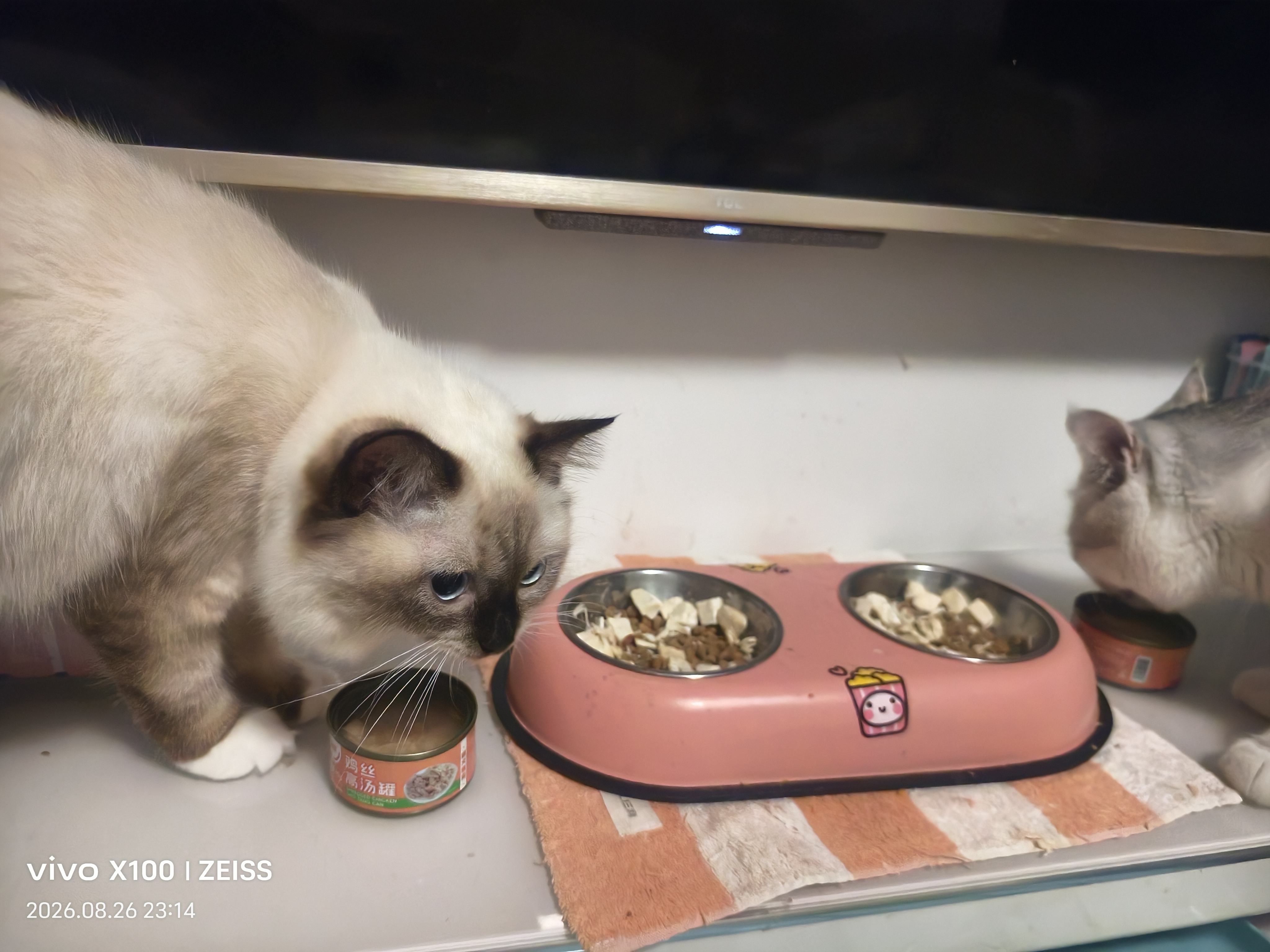 宠磊罐头猫咪零食整箱24幼猫湿粮主食补充营养增肥成幼补水鸡丝 鸡丝高汤补水罐【呵护猫咪肠胃】 24罐 实拍图