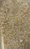 爷爷的农场有机高纤七色糙米420g谷物米五谷杂粮饭黑米红米粗粮大米伴侣 实拍图