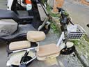 飞鸽电动自行车 E75Plus2026款新国标电动车长续航80KM铅酸电池48V21Ah智能家用电瓶车可上牌漫步白 实拍图