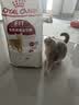 皇家猫粮 成猫猫粮 营养均衡 F32 通用粮 1-7岁 15KG 实拍图