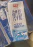 光明纯牛奶200ml*24盒优质乳蛋白营养早餐奶牛奶整箱中秋送礼京东自营 实拍图