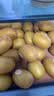 佳沛（zespri）新西兰金奇异果30-33粒原箱103-124g猕猴桃中秋节礼品送水果礼盒 实拍图