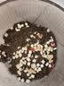 网易严选全价猫粮4.0 成幼猫三文鱼亮毛护肠胃深海鱼虾味10kg【宠物金选】 实拍图