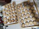 长帝（changdi）国家补贴家用烤箱S1Pro大白鲸风炉多功能电烤箱烘焙烧烤大容量空气炸锅一体机多层同烤七夕礼物 实拍图
