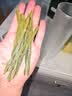 贡苑特级太平猴魁250g 绿茶2026新茶正宗安徽布尖雨前头采茶叶自己喝 实拍图