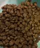 素力高（SolidGold）进口高蛋白猫粮 鲜肉三文鱼美毛12磅/5.44kg 实拍图