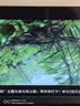 海信电视55英寸一级能效3+64高配置144Hz刷新率液晶电视4K智能彩电护眼电视机官方补贴15%电视55吋 55英寸 3+64高配置+144Hz高刷新率 实拍图