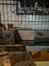 佳能（Canon）PG-840 黑色墨盒(适用MX538/MG3680/MG3580/TS5180) 实拍图