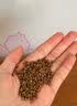古茶养仁特级黑苦荞茶四川大凉山全颗粒胚芽养生茶500g 1罐【500g】体验装 实拍图