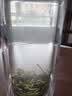 保银信阳毛尖2026新茶绿春茶明前头采嫩芽尖100g清香罐装自饮高山春茶 实拍图