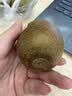 佳沛（zespri）新西兰金奇异果10粒巨大果146-175g猕猴桃中秋节礼品送水果礼盒 实拍图