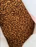 冠能猫粮室内成猫猫粮10kg 全价猫粮 添加膳食纤维 控制毛球 实拍图