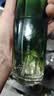 淮树金银花清颜精华液控油清痘修护油痘肌舒缓肌肤熬夜平衡水油 旗舰 120ml（2瓶更划算） 实拍图