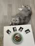 INSTAX富士instax立拍立得 mini相纸 白边双包20张(适用miniSE/11/12/40/90/LiPlay/EVO/Link3) 实拍图