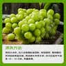 京鲜生 阳光玫瑰葡萄 净重2.8-3.3斤 单果8-10g葡萄/提子 源头直发 实拍图