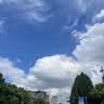 ALittleFlower【全网热销40W+】适用苹果12手机壳iPhone12保护套超薄防摔软壳透明镜头全包男女款简约 实拍图