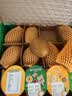 佳沛（zespri）新西兰 阳光金奇异果12粒特大果单果124-146g 猕猴桃水果礼盒 实拍图