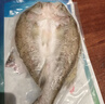 仙泉湖三去白蕉海鲈鱼1斤/条净膛刺少肉厚珠海特产500g海鲜水产生鲜食材 实拍图