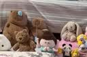 Jellycat巴塞罗熊动物毛绒玩偶儿童安抚公仔小熊潮玩送礼生日礼物 巴塞罗熊 Medium 实拍图