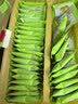 江中猴姑椰奶猴头菇饼干养胃低糖高钙办公室休闲解馋零食中秋礼盒600g 实拍图