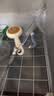汪野君养猫新手全套用品猫砂盆套装喂食喂水器绒布猫窝猫玩具组合十件套 实拍图