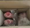 立白大师香氛洗衣液12.48斤柔顺护衣 持久留香水内衣可用 品质严选 实拍图