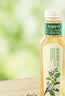 农夫山泉【新口味】东方树叶陈皮白茶500ml*15瓶无糖茶饮料0糖0脂0卡 实拍图