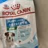 皇家狗粮 幼犬狗粮 幼犬奶糕宠物小型犬MIJ31全价犬粮2-10月800g 实拍图