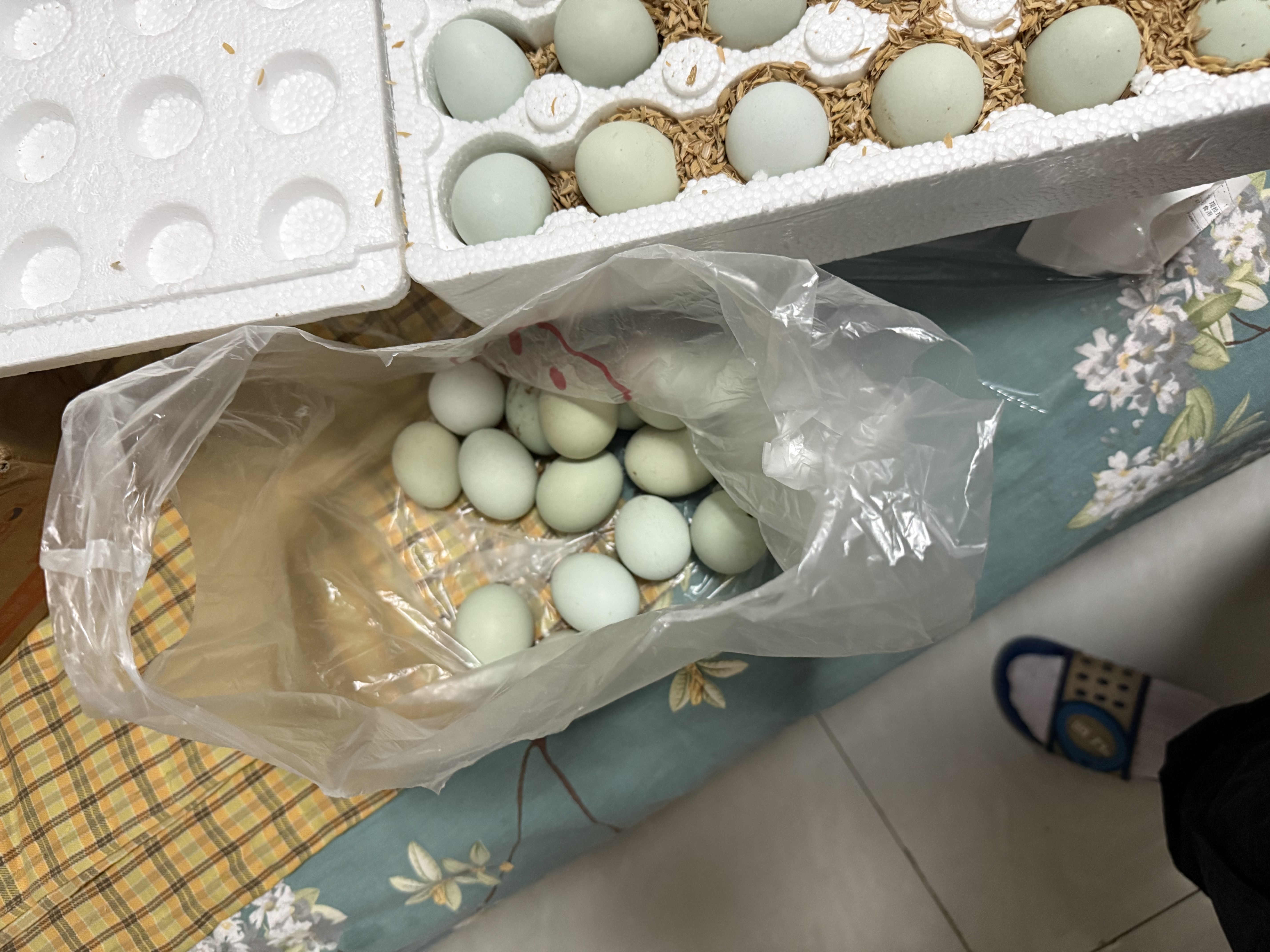 现捡现发乌鸡蛋山林放养绿壳蛋虫草绿壳蛋老人小孩可食用 50枚乌鸡蛋 实拍图