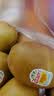 佳沛（zespri）新西兰金奇异果12粒特大果124-146g猕猴桃中秋节礼品送水果礼盒 实拍图