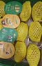 佳沛（zespri）新西兰金奇异果22粒巨大原箱146-175g猕猴桃中秋节礼品送水果礼盒 实拍图