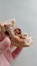 良品铺子全麦黑麦坚果车轮面包早餐大列巴面包吐司欧包出游500g（原味） 实拍图