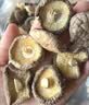 【京东快递】香菇干货 冬菇大香菇 新货特产菌类新鲜直供 西峡厚肉香菇 500g 实拍图