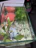 尼奥光（NEO-HELIOS）鱼缸灯水草灯LED灯S3pro+RGB植物光谱 【二代】8W尼奥S3【适用20-30鱼缸】 实拍图