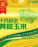 十月稻田 黄糯玉米 8根 3.52斤 真空包装 东北甜粘玉米棒 低脂早餐 实拍图
