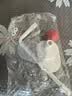 多巴胺发圈发箍收纳架卫生间发饰发夹皮筋头绳挂钩 多巴胺长条挂钩【1个】 实拍图