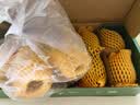 佳沛（zespri）新西兰金奇异果10个装单果重103-114g猕猴桃中秋节礼品送水果礼盒 实拍图