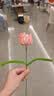 乐哲花束包装纸扭扭棒永生花DIY手工制作材料包教师节礼物送男女孩 实拍图