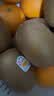 佳沛（zespri）新西兰金奇异果12粒特大果124-146g猕猴桃中秋节礼品送水果礼盒 实拍图