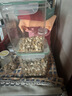 WEYES冻干14拼混合桶500g宠物猫狗零食冻干鸡肉鸡胸肉鸭肉粒营养补充 实拍图