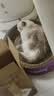 领先成猫尝鲜礼包主食级烘焙猫粮猫条餐盒汤包（新老款随机发货） 实拍图