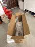 艾美特（AIRMATE）【全屋循环】电风扇空气循环扇大风力家用AI语音遥控卧室一级能效直流变频安静轻音落地扇 SRD259 实拍图